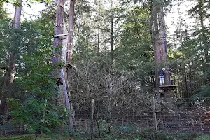 Apeldoorn Piramide EON Berg en Bos image