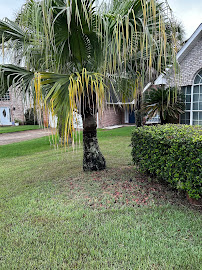 Tjs Tree Services - Photo 5 - Car repair in Panama City, FL, Panama City