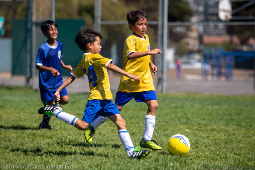 Albany Berkeley Soccer Club