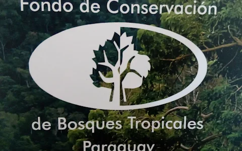 Fondo de Conservación de Bosques Tropicales image