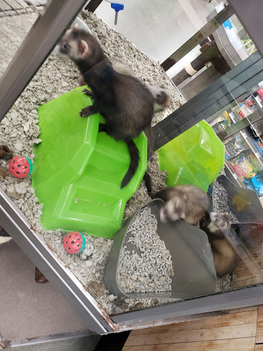 Pet Supply Store «Petco Animal Supplies», reviews and photos, 839 New York Ave, Huntington, NY 11743, USA