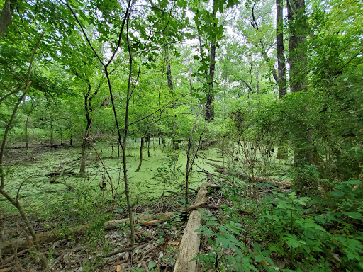 Park «White Rock Lake Park», reviews and photos, E Lawther Dr, Dallas, TX 75218, USA