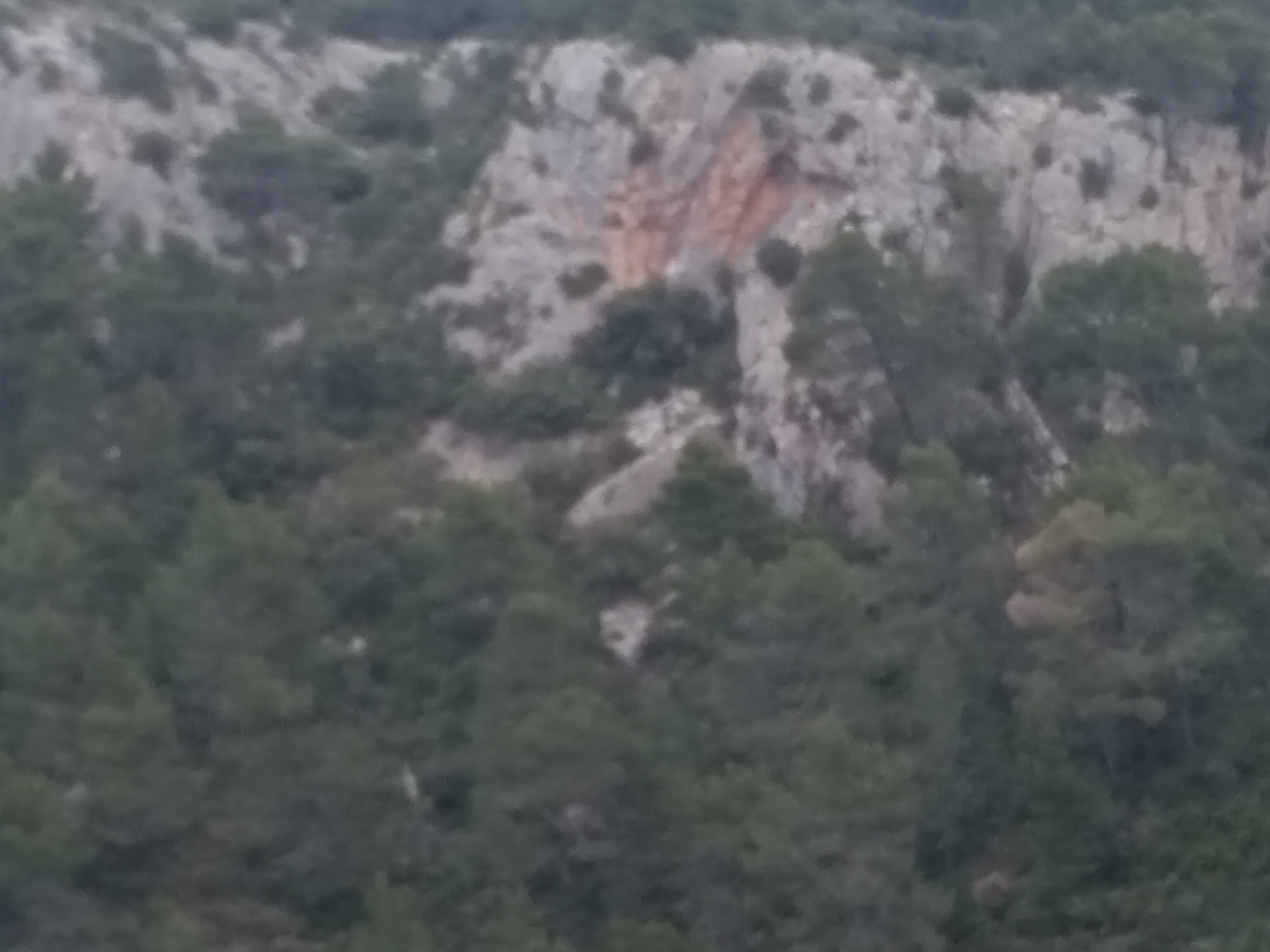 Photo n° 2 de l'avis de Patrick.u fait le 22/04/2019 à 14:37