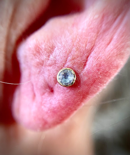 Explore tattoo shading ideas, creative tattoo ideas in Orange, available at Symbiosis Body Piercing