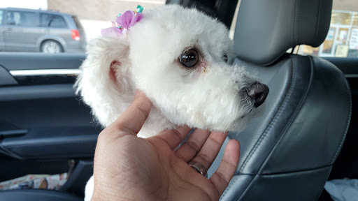 Pet Supply Store «PetSmart», reviews and photos, 2347 N Telegraph Rd, Monroe, MI 48162, USA