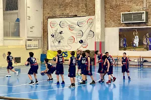 Salus Bologna Basketball SSDRL image