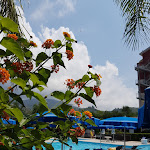 Photo n°1 de l'avis de Augusta.o fait le 04/08/2018 à 20:21 sur le  Village Hotel Eurolido à Cartolano