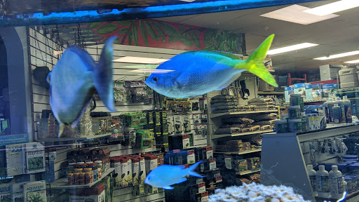 Pet Store «Claremont Pet & Aquarium Center», reviews and photos, 201 Washington St, Claremont, NH 03743, USA