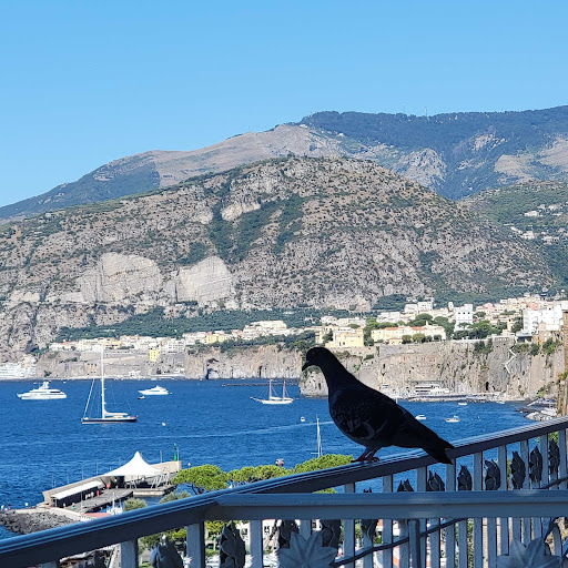 Real Estate Agency «RE/MAX @ HOME», reviews and photos, 2054 South St, Philadelphia, PA 19146, USA