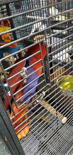 Pet Store «Pet Zone», reviews and photos, 8925 Jewella Ave #4, Shreveport, LA 71118, USA