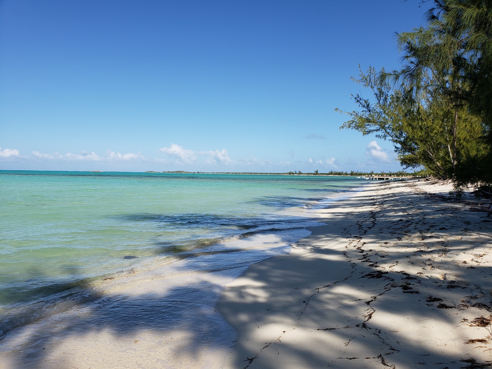 Bambarra beach photo #7