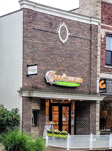 Frozen Yogurt Shop «Peachwave Frozen Yogurt & Gelato», reviews and photos, 6 W 8th St, Holland, MI 49423, USA
