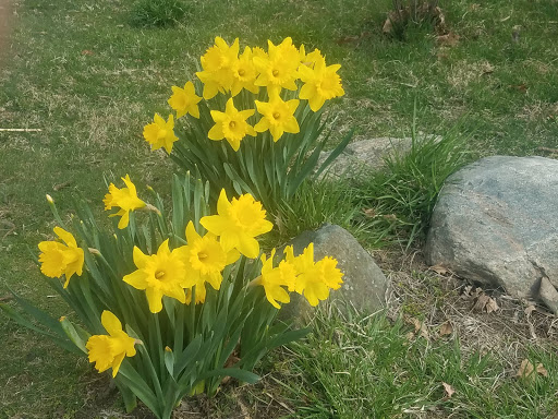 Park «Glen Island Park», reviews and photos, Weyman Ave, New Rochelle, NY 10805, USA