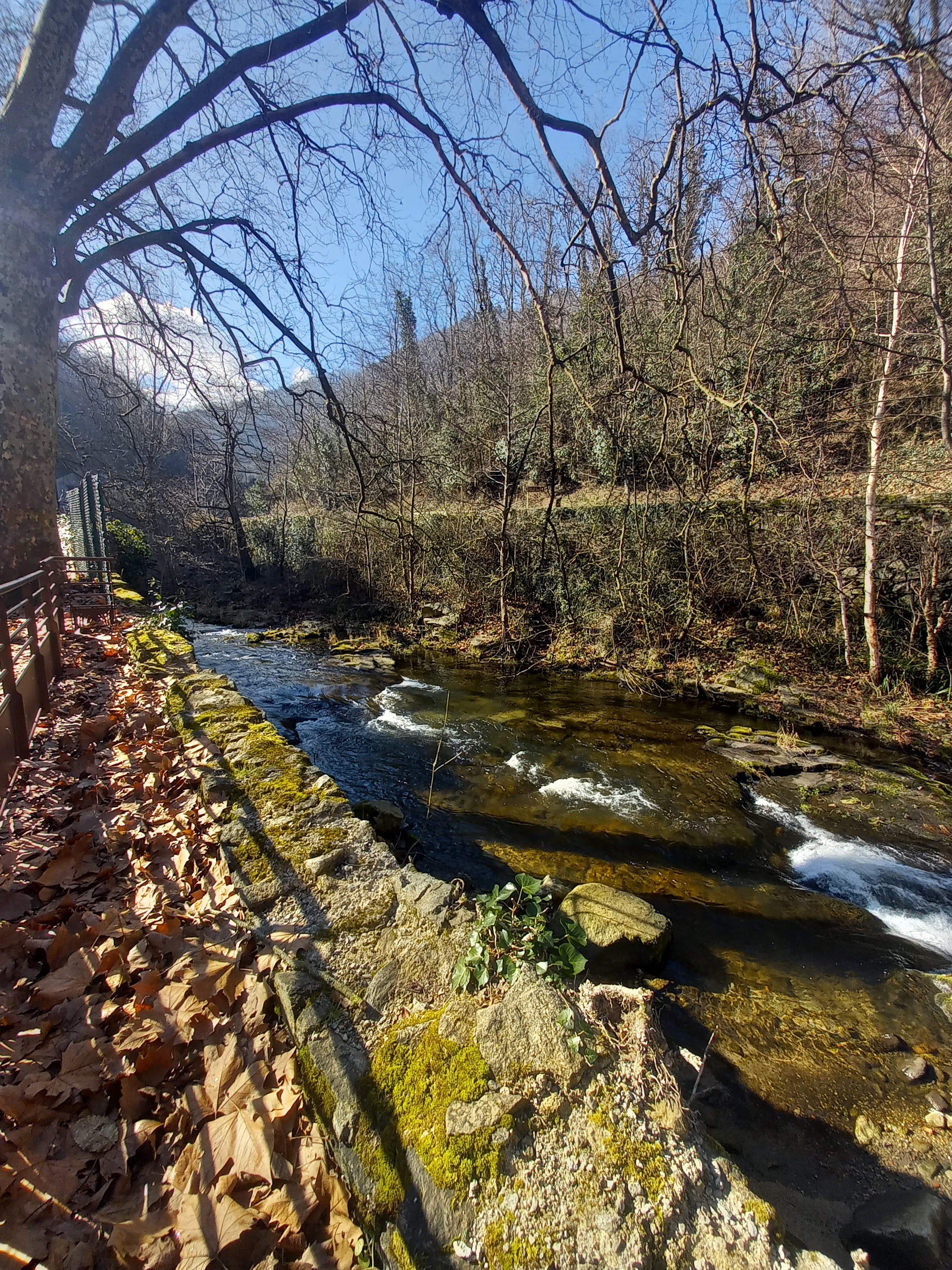 Photo n° 8 de l'avis de Delphine.G fait le 20/02/2023 à 17:44