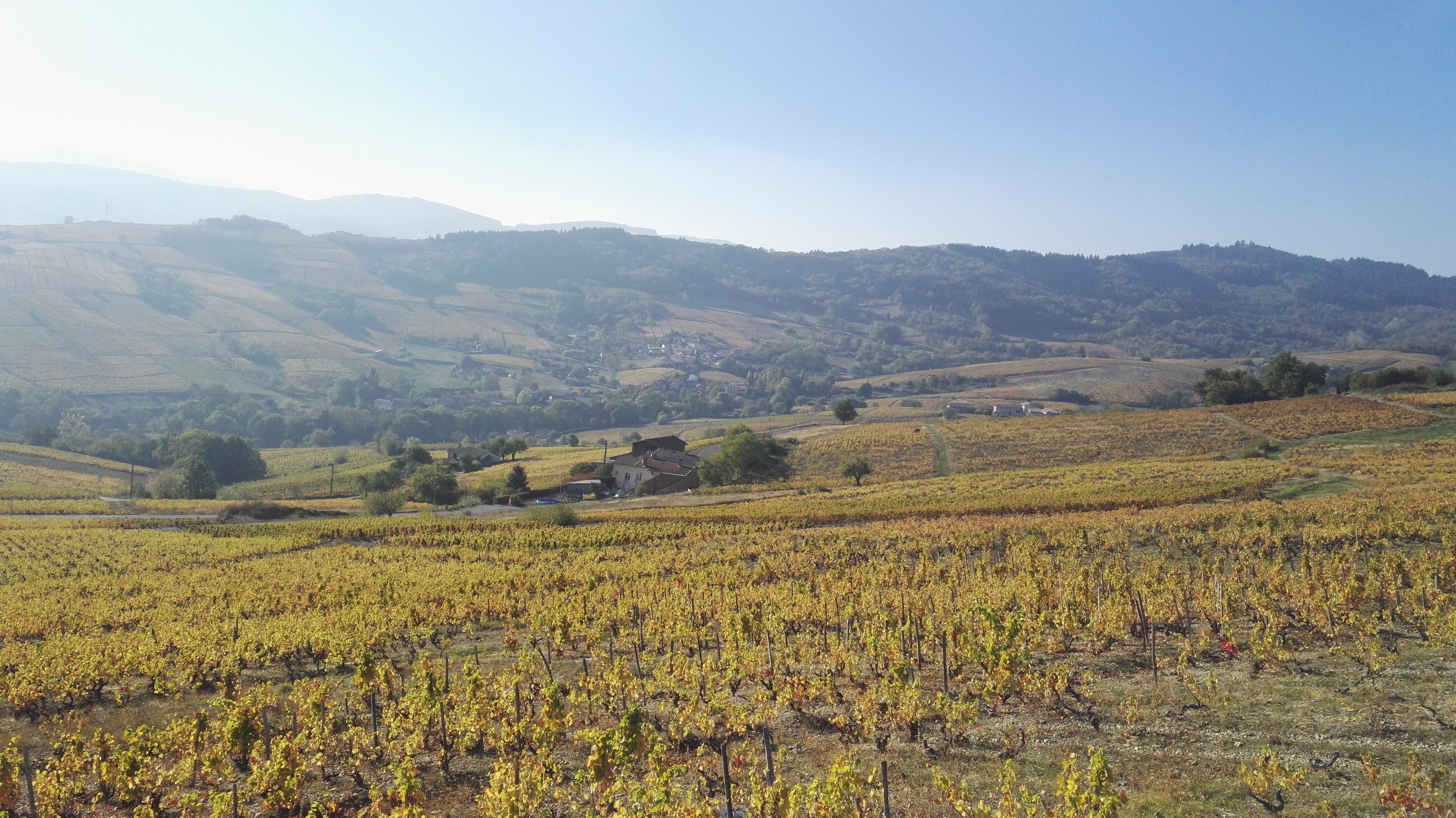 Photo n° 19 de l'avis de Christophe.e fait le 21/10/2018 à 18:48