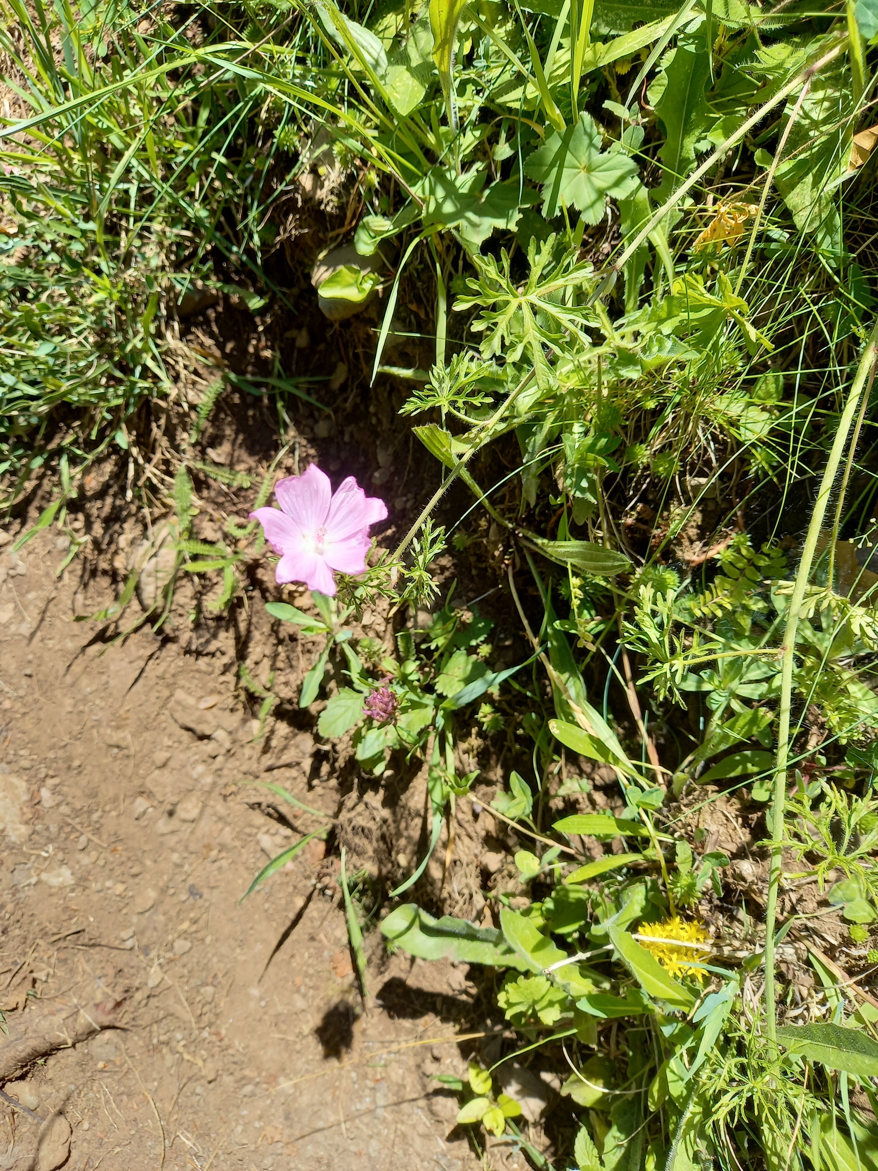 Photo n° 7 de l'avis de Jean.o fait le 02/07/2022 à 16:58