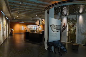 Völkerkundemuseum der Universität Zürich