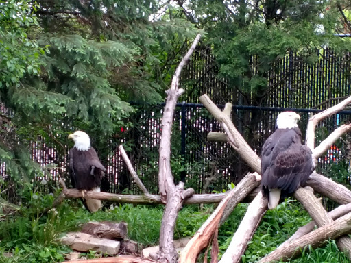 Zoo «Miller Park Zoo», reviews and photos, 1020 S Morris Ave, Bloomington, IL 61701, USA