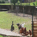 Photo n°2 de l'avis de Nicole. fait le 07/05/2023 à 14:33 sur le  Antica trattoria Alla Sorgente à Tenaglia