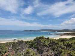 Foto von Bull Pup Beach mit sehr sauber Sauberkeitsgrad