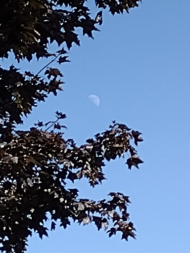 Park «Overlook Park», reviews and photos, 1599 N Fremont St, Portland, OR 97227, USA