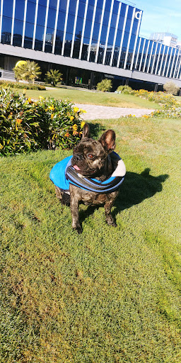 Clínica Veterinaria Villalbilla en Villalbilla