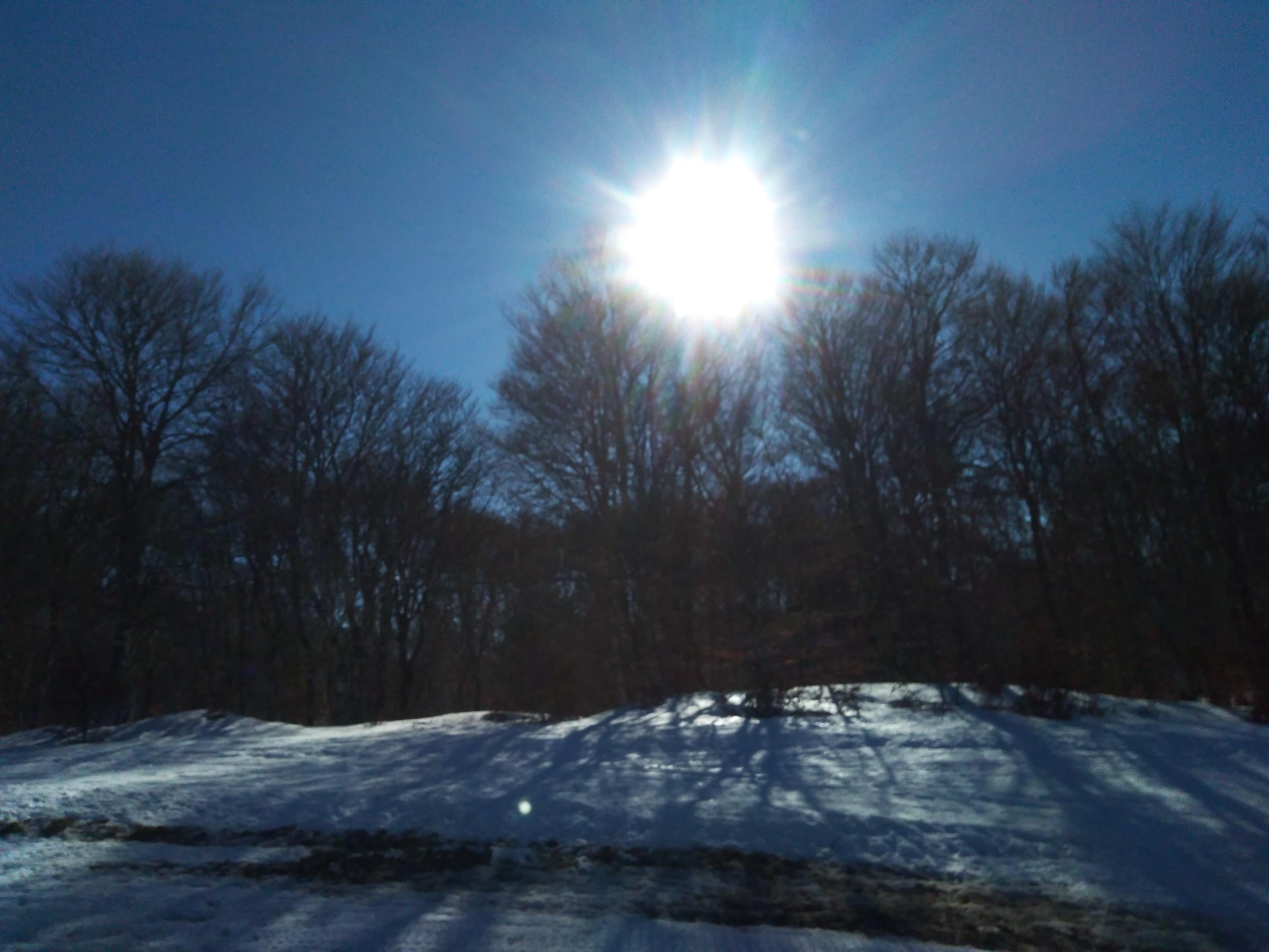Photo n° 3 de l'avis de Delphine.o fait le 23/02/2019 à 18:04