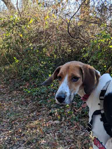 National Park «Battery Kemble Park», reviews and photos, 3035 Chain Bridge Rd NW, Washington, DC 20016, USA