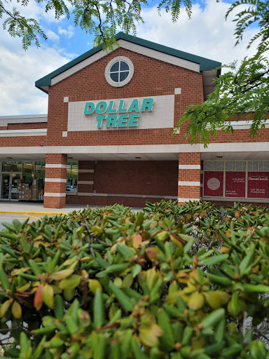 Dollar Store «Dollar Tree», reviews and photos, 60 Everett St, Allston, MA 02134, USA