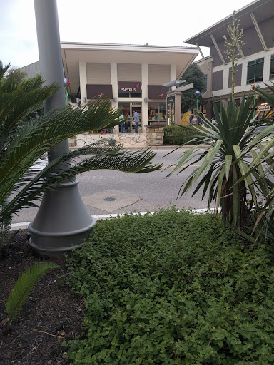 Greeting Card Shop «Papyrus», reviews and photos, 3400 Esperanza Crossing, Austin, TX 78758, USA