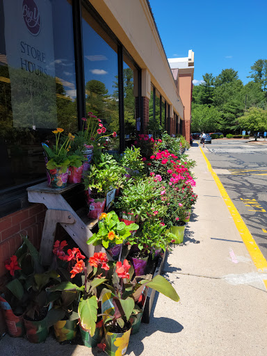 Supermarket «Big Y», reviews and photos, 141 Storrs Rd, Mansfield Center, CT 06250, USA