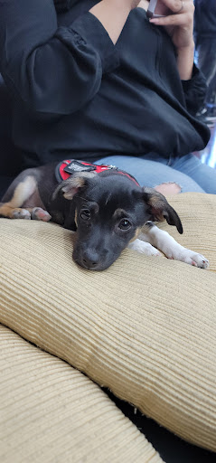 Barber Shop «Tocayos Barber Shop», reviews and photos, 8013 Greenleaf Ave, Whittier, CA 90602, USA