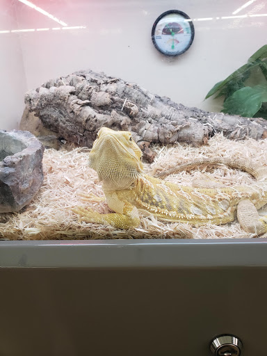 Pet Supply Store «Pet Supplies Plus», reviews and photos, 375 Paterson Ave #105, Wallington, NJ 07057, USA