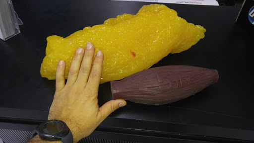 Exercise Equipment Store «Bandit Fitness Equipment», reviews and photos, 1990 S Belcher Rd, Largo, FL 33771, USA