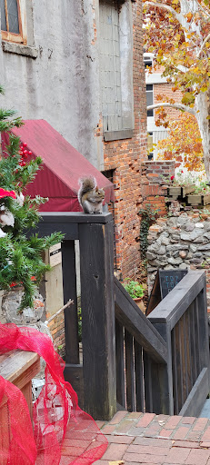 Tourist Information Center «Cotton Exchange Information», reviews and photos, 303 N Front St, Wilmington, NC 28401, USA