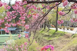 남산건강공원 image