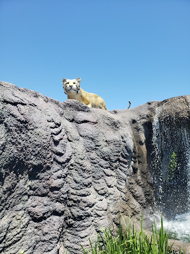 Amusement Park «Volcano Falls Adventure Park», reviews and photos, 7602 Rock Valley Pkwy, Loves Park, IL 61111, USA