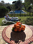 Plats et boissons Casa rural Finca La Hijuela Holiday Homes 11150 Vejer de la Frontera (miniature)