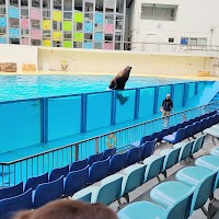 伊豆・三津シーパラダイス