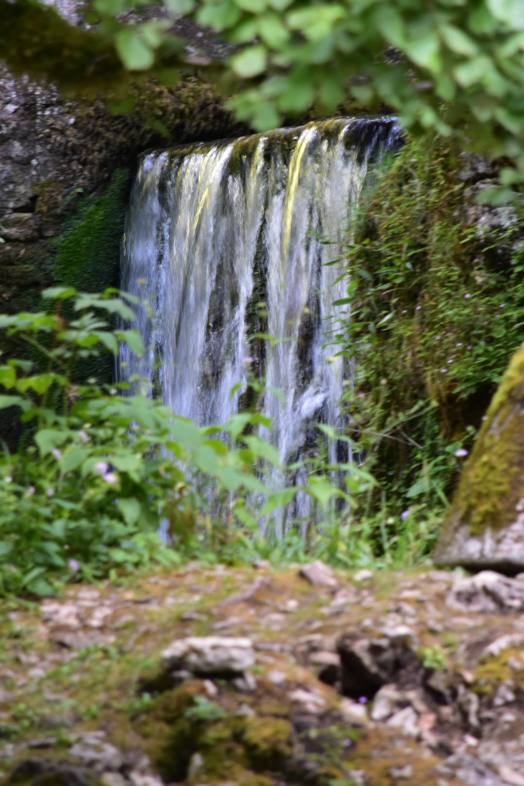 Photo n° 10 de l'avis de Stéphane.l fait le 16/08/2019 à 20:33