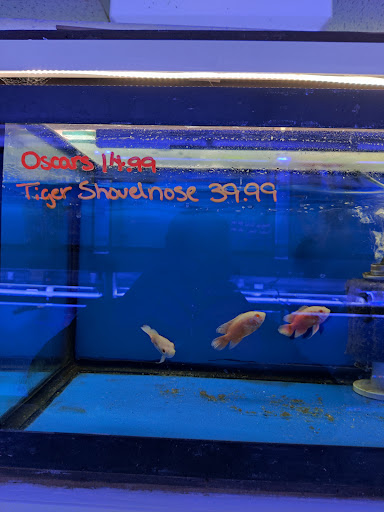 Pet Store «Fish Bowl Aquarium & Pet Mart», reviews and photos, 725 Providence St, West Warwick, RI 02893, USA