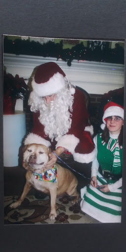 Florist «Fischer Flowers», reviews and photos, 2322 Shore Rd, Linwood, NJ 08221, USA