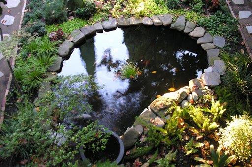 Koi Enterprise image