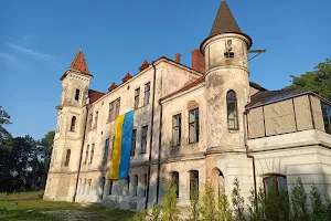 Palace of Yablonovsky-Brunitsky image
