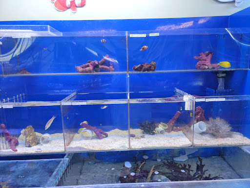 Tropical Fish Store «Coral Reef Aquariums», reviews and photos, 8416 N Armenia Ave, Tampa, FL 33604, USA