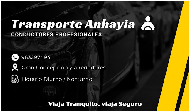 Opiniones de Transportes Anhayia en Concepción - Servicio de taxis