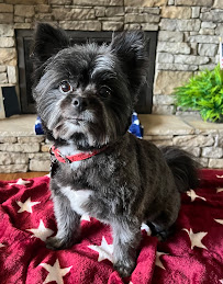 Hollywoof Paw Spa - Photo 4 - Car repair in Broken Arrow, OK, Broken Arrow