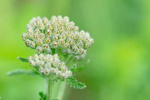 Park «Colby Lake Park», reviews and photos, 9715 Valley Creek Rd, Woodbury, MN 55125, USA