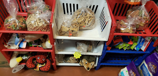 Pet Store «Essex Bird Shop & Pet Supply», reviews and photos, 121 Eastern Ave, Essex, MA 01929, USA