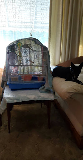 Pet Supply Store «Pet Supplies Plus», reviews and photos, 946 Joliet St, Dyer, IN 46311, USA